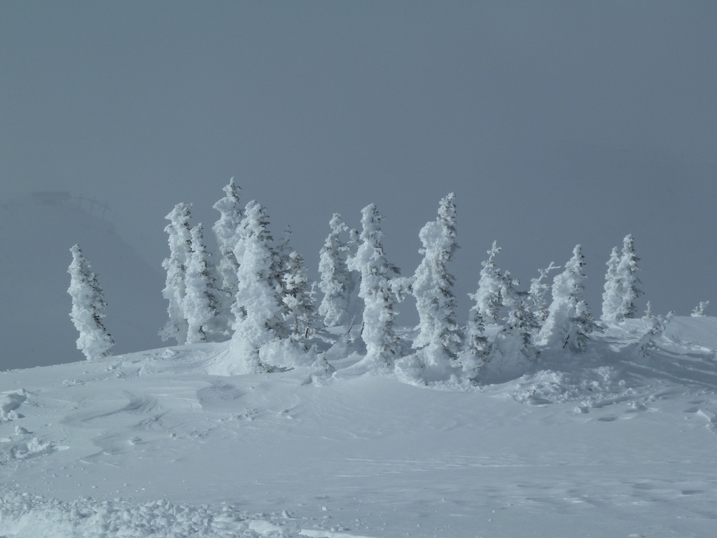 Whistler, British Columbia