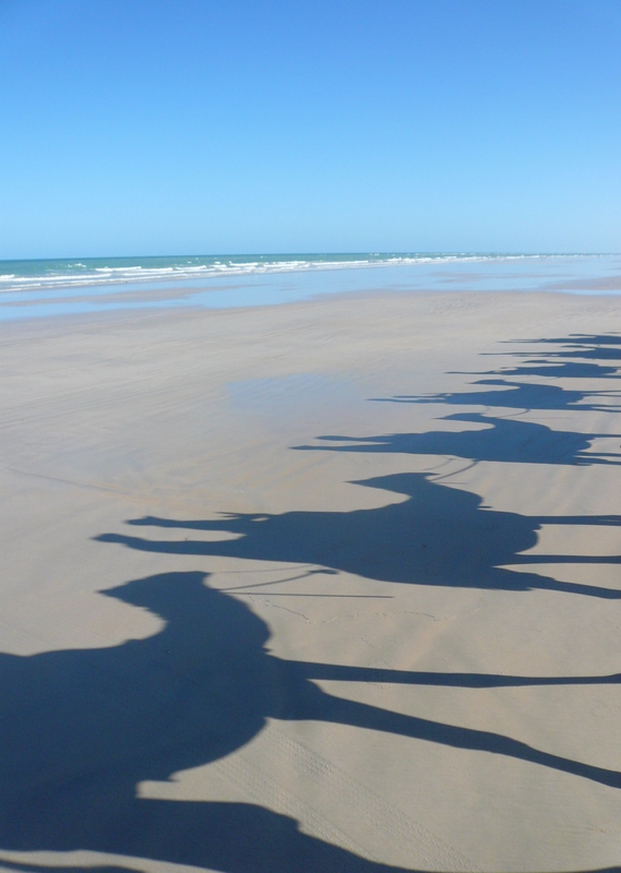 Camel shadows, Broome, Western Australia