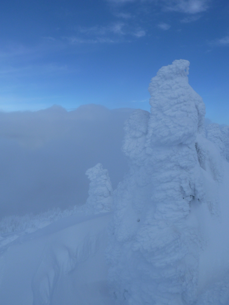 Snow Trees at Mt Bachelor, Oregon.
