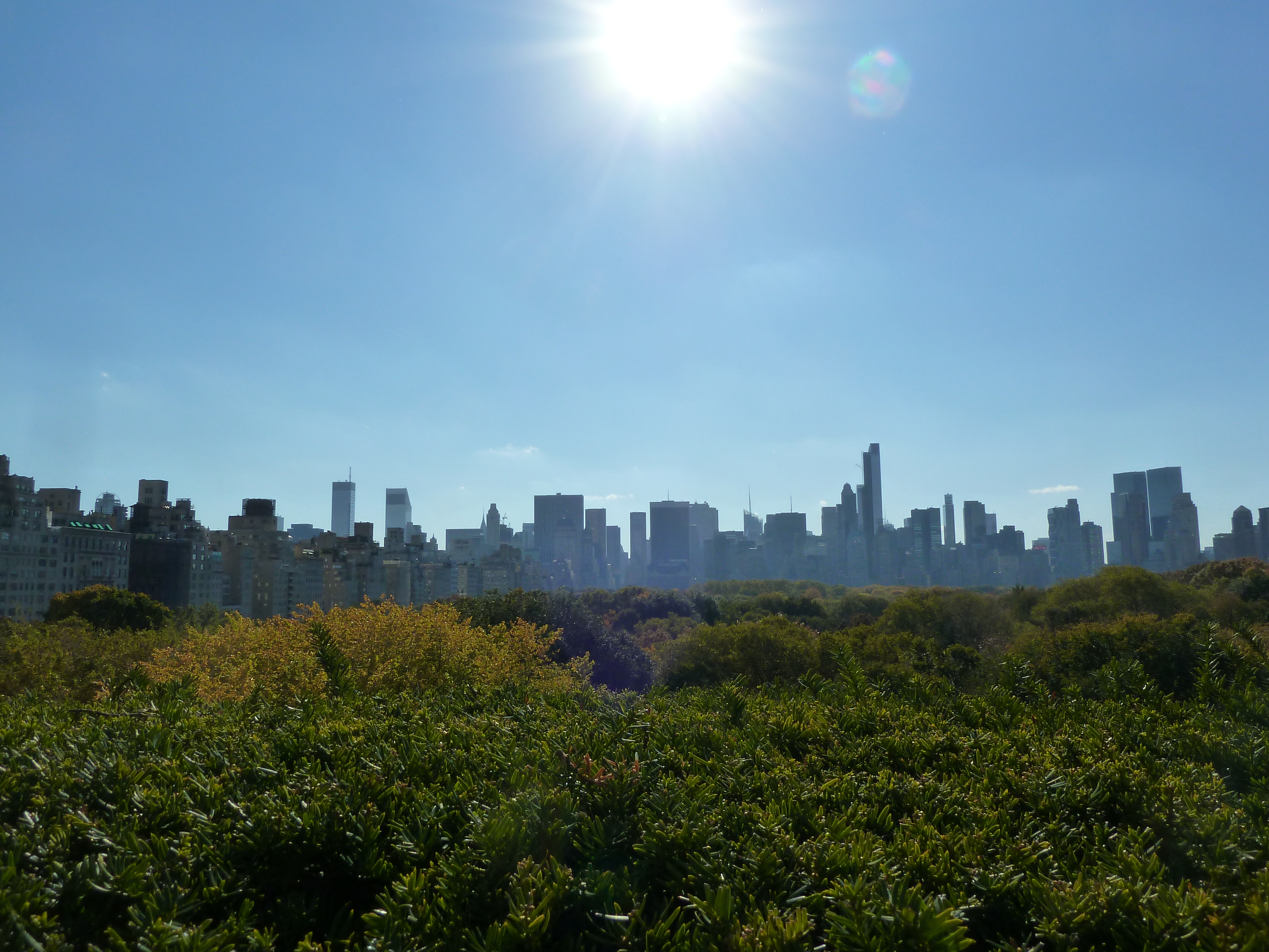 View from the Met, New York