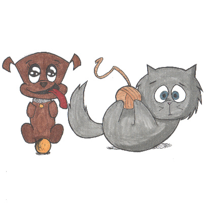 A dog and a cat caught playing