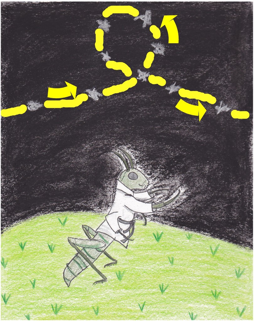Grasshopper learning star formations