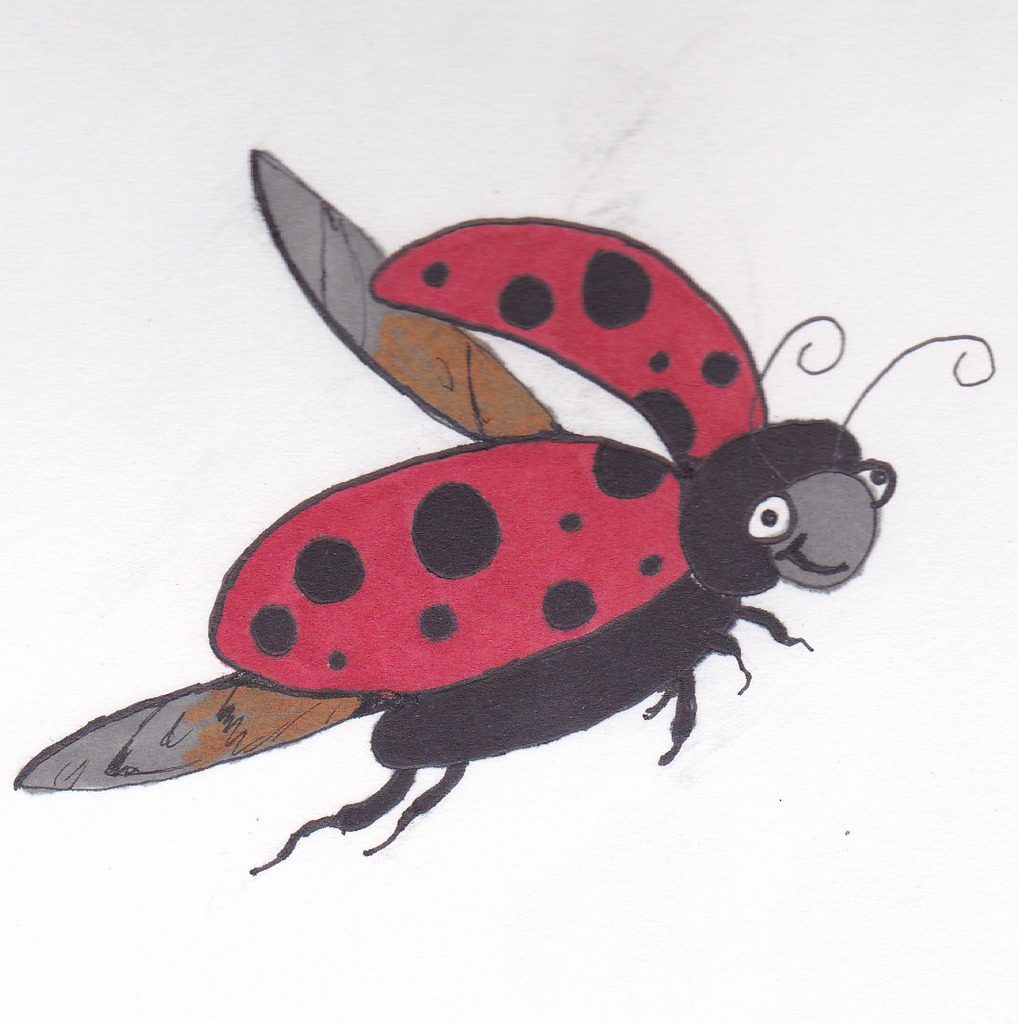 Flying ladybird