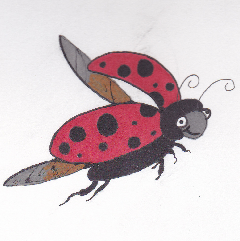 Flying Ladybird